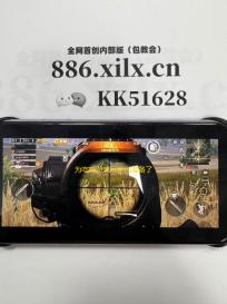 为吃鸡游戏玩家们准备了优质的辅助效果！