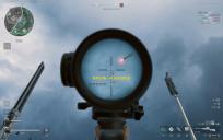 考考你哪一种海鸟俗称呆鸥